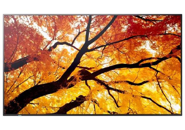 Sharp M-Series PN-M322 32" Large Format Display, FHD, 450-cd/m2 Brightness, VA, 25% Haze Non-Glar...