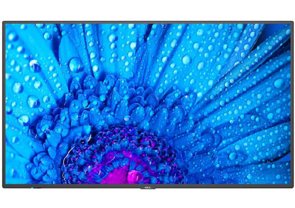 Sharp M-series M551-2 55" Professional Display, 4K UHD, 500-cd/m2 Brightness, IPS, 25% Haze Non-G...