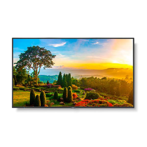 Sharp M-series M551 55" Professional Display, 4K UHD, 500-cd/m2 Brightness, IPS, 28% Haze Non-Gla...