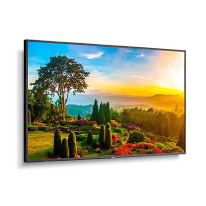 Sharp M-series M551 55" Professional Display, 4K UHD, 500-cd/m2 Brightness, IPS, 28% Haze Non-Gla... - Image 2