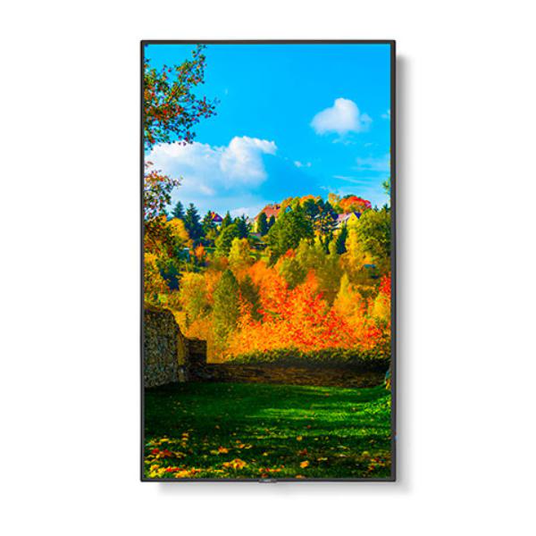 Sharp M-series M551 55" Professional Display, 4K UHD, 500-cd/m2 Brightness, IPS, 28% Haze Non-Gla... - Image 7