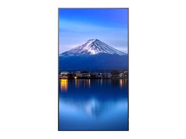 Sharp P-series P656 65" Professional Display, 4K UHD, 700-cd/m2 Brightness, IPS, 25% Haze Non-Gla... - Image 3