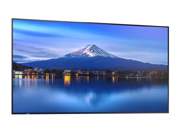 Sharp P-series P656 65" Professional Display, 4K UHD, 700-cd/m2 Brightness, IPS, 25% Haze Non-Gla... - Image 6