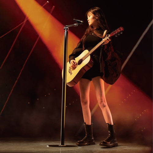 Brateck Flexible Swing-Arm Microphone Floor Stand(NEW), Weight Capacity: 1kg,  Black320x320x1597m... - Image 2