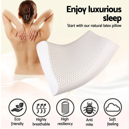 Giselle Queen 34cm 5-Zone Euro Top Pocket Spring Mattress with 2 Natural Latex Contour Pillows - Image 5