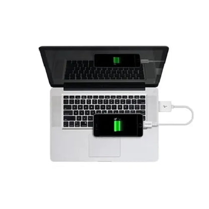 Pisen Mr White Lightning to USB-A Cable (20CM) White - Support Both Fast Charging  Data Cable,Str... - Image 2