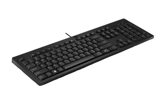 HP 125 Wired Keyboard - Compatible with Windows 10, Desktop PC, Laptop, Notebook USB Plug and Pla...