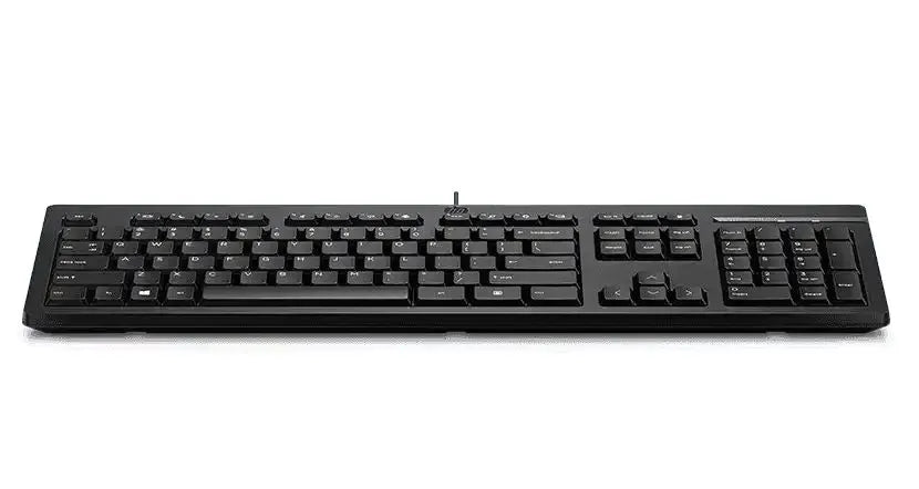 HP 125 Wired Keyboard - Compatible with Windows 10, Desktop PC, Laptop, Notebook USB Plug and Pla... - Image 2