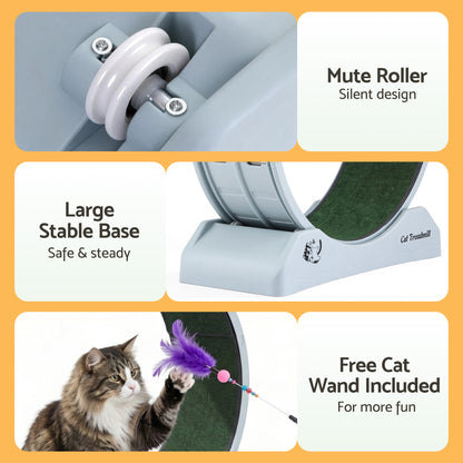i.Pet Cat Exercise Wheel Treadmill Indoor 80cm Blue & Green - Image 7