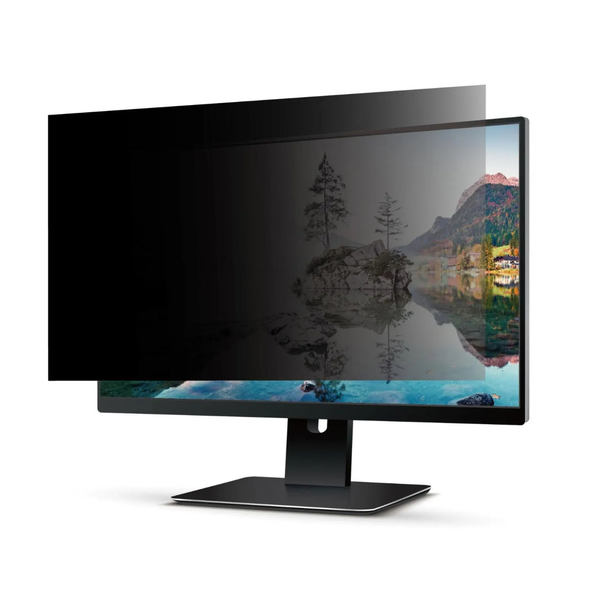 Shintaro Privacy Filter 24" for Monitor - Screen Filters