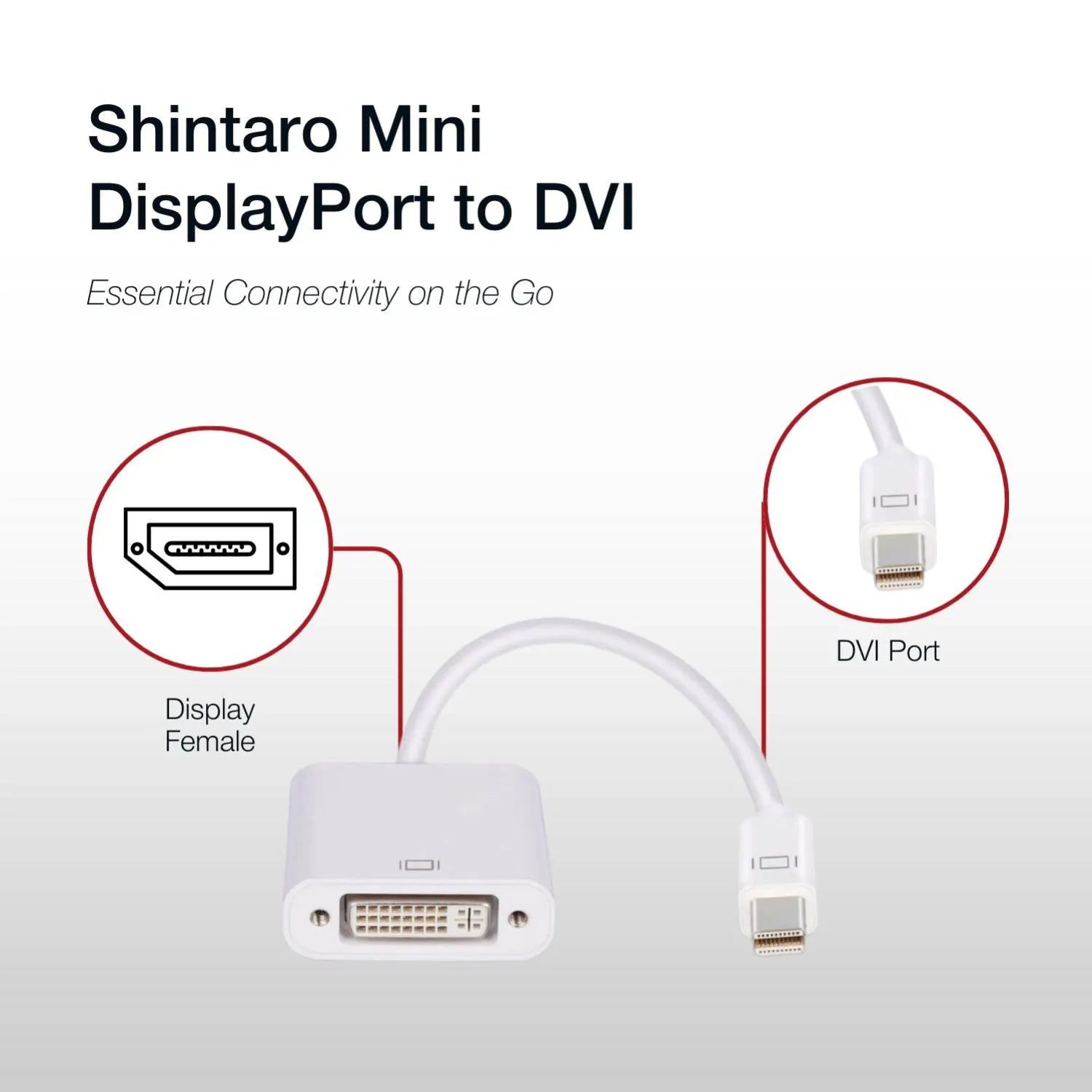 Shintaro Mini DisplayPort (MDP) to DV - Display Accessories - Image 3