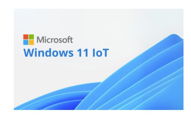 Microsoft Windows 11 IOT Enterprise Multi Language OLC - By Order - NO Refund once issued - Key O...
