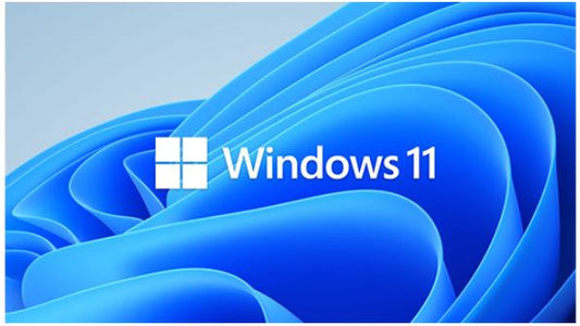 SMS-WIN11PROWS64