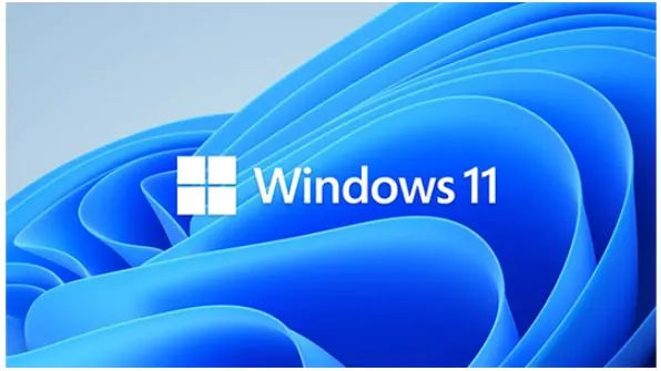Microsoft Windows 11 Professional for Workstation 64 BIT - By Order - Software