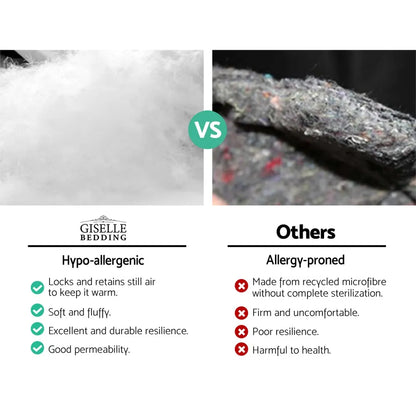 Giselle Bedding Pillowtop Mattress Topper 5cm Thick Pad for Back Pain Relief Washable Underlay Protector 1000GSM Microfibre Filling 45cm Deep Pocket Queen - Image 3