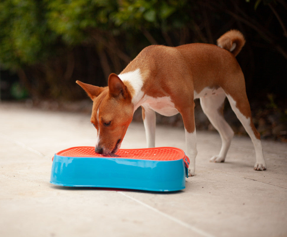 4-in-1 Slow Feeder Dog Bowl - Blue Bowl and Warm Ocean Red Lickmat - Image 6