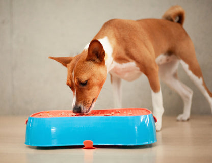4-in-1 Slow Feeder Dog Bowl - Blue Bowl and Warm Ocean Red Lickmat - Image 7