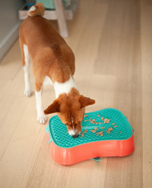 4-in-1 Slow Feeder Dog Bowl - Warm Ocean Red Bowl with Teal Lickmat - Image 7