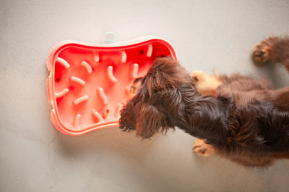4-in-1 Slow Feeder Dog Bowl - Warm Ocean Red Bowl with Teal Lickmat - Image 9