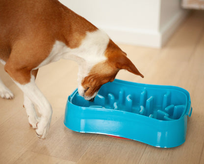Marley Slowappy Slow Feeder  Bowl - Blue - Image 4