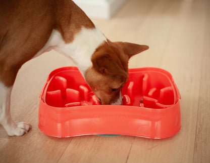 Marley Slowappy Slow Feeder  Bowl - Warm Ocean Red - Image 6