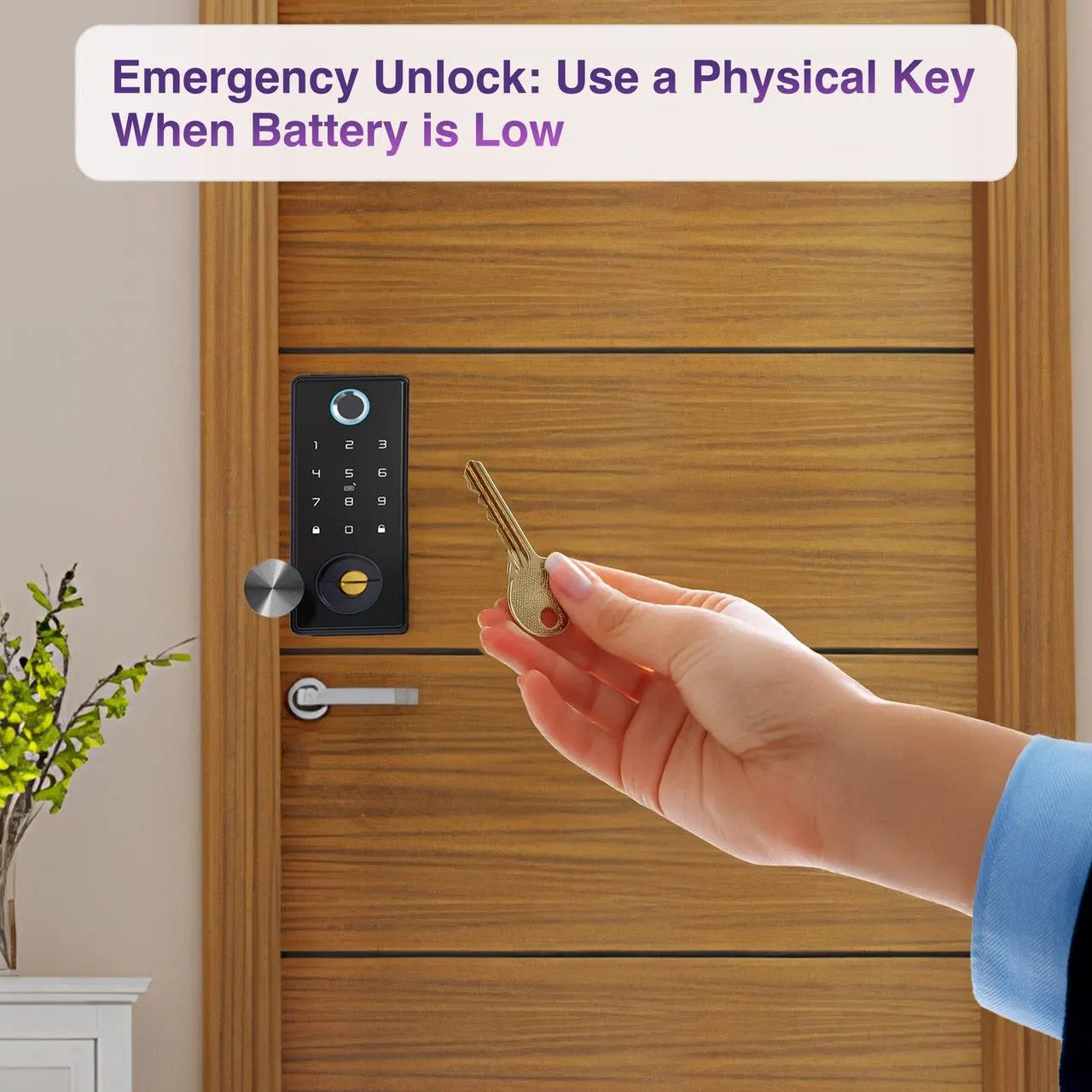 Laser Smart Home Smart Deadbolt Keyless Entry - Image 5