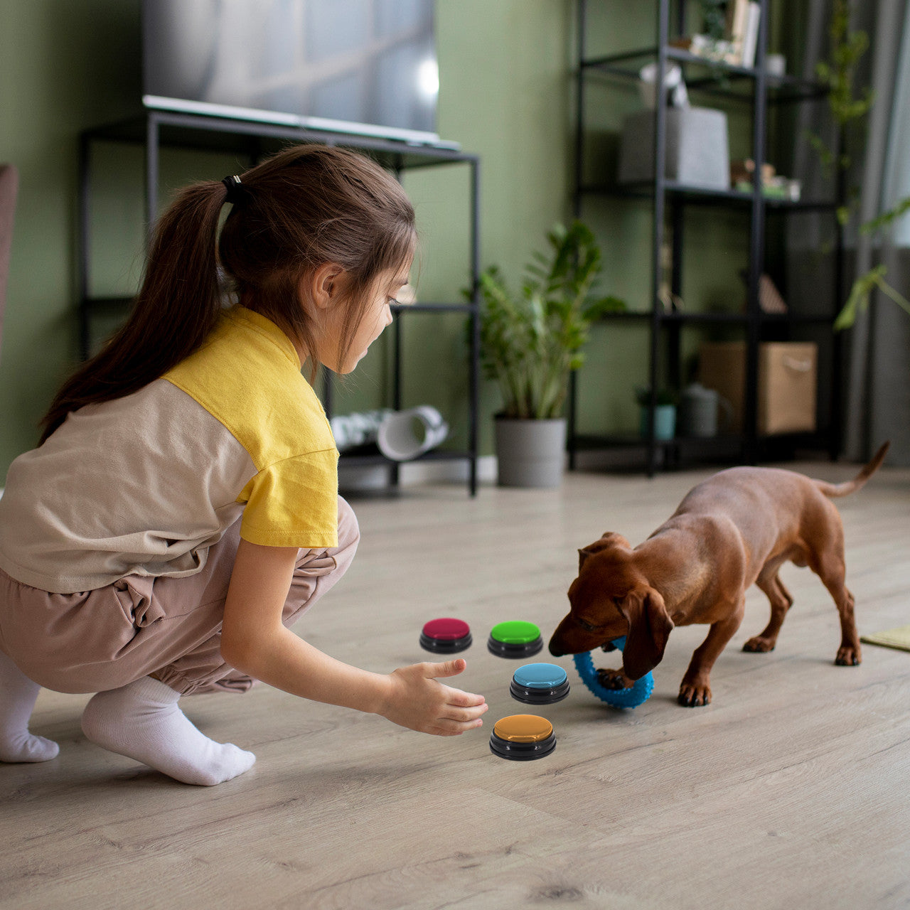 Tech4Pets 4-Pack Talking Buttons for Interactive Pet Communication - Image 3