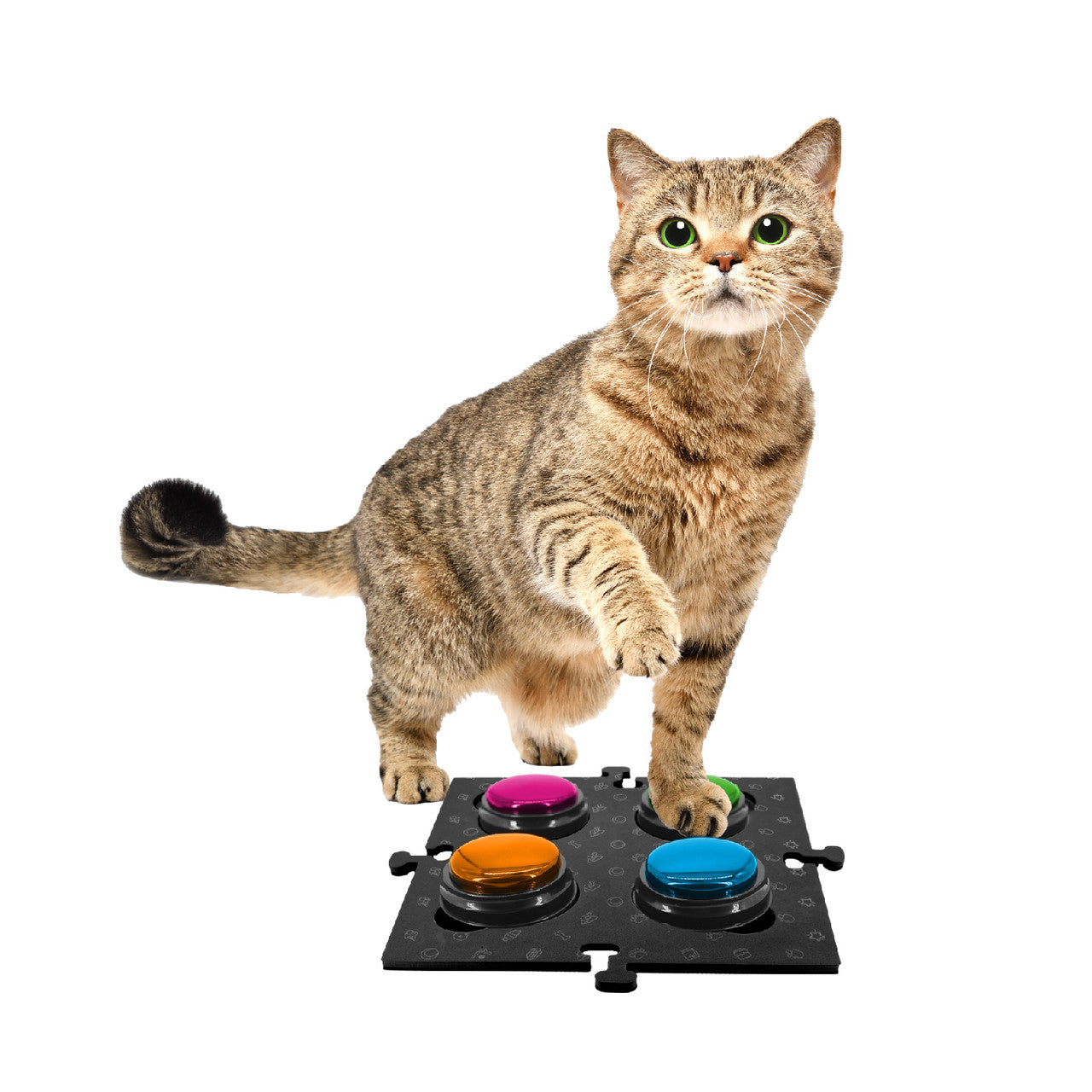 Tech4Pets Black Mat 2-Pack for Talking Buttons & Floor - Image 2