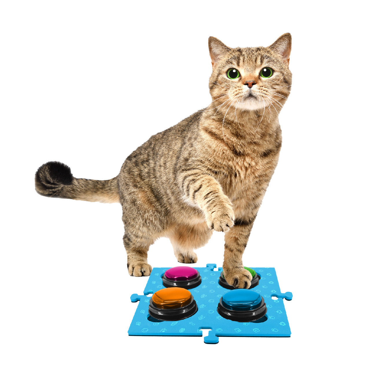 Tech4Pets Blue Mat 2-Pack for Talking Buttons & Floor - Image 3