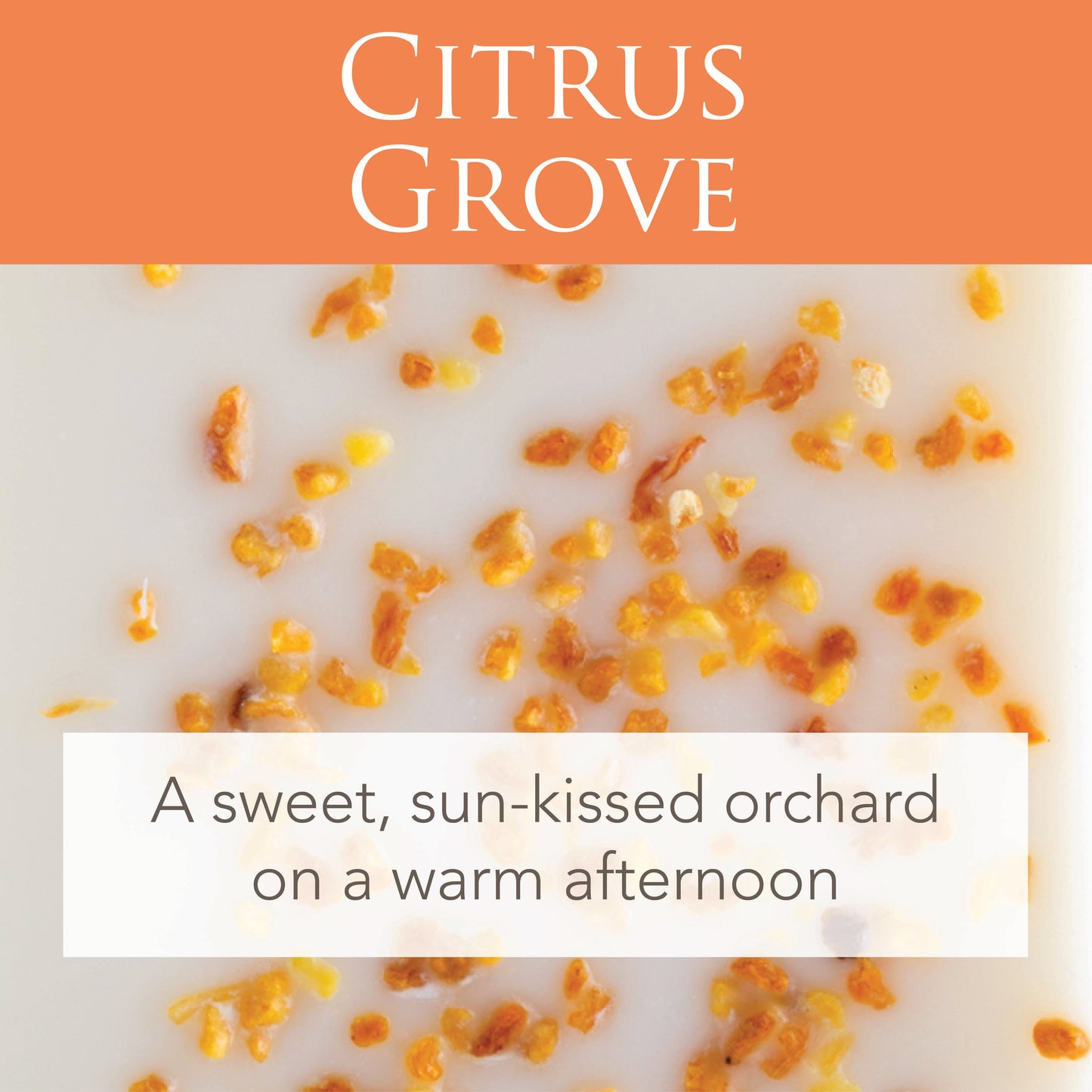 Citrus Grove 2.5 Oz Artisan Melts - Image 5