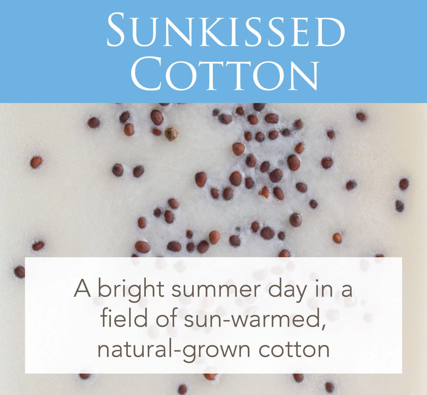 Sunkissed Cotton 2.5 Oz Artisan Melts - Image 2