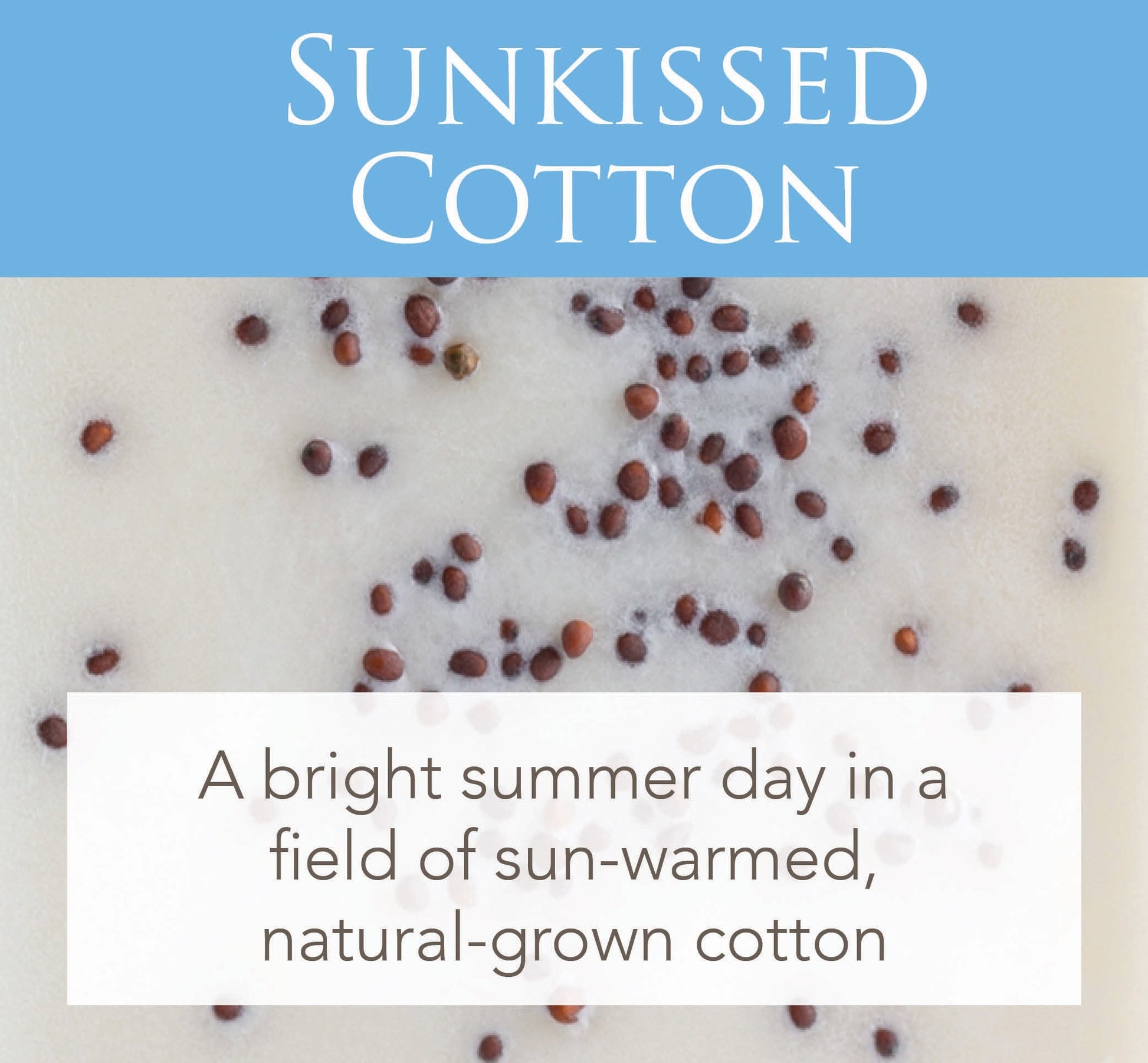 Sunkissed Cotton 2.5 Oz Artisan Melts - Image 2