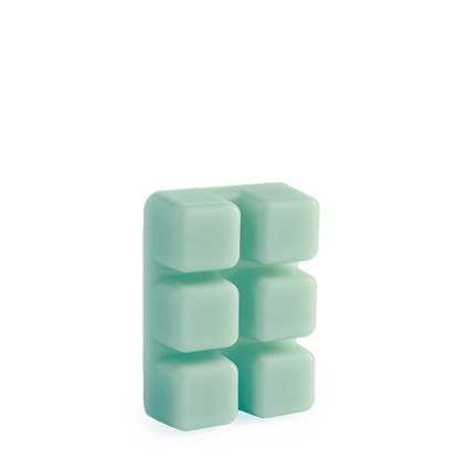 Escape to Paradise Wax Melts 2.5oz - Image 2