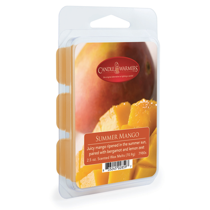 Summer Mango Wax Melts 2.5oz - Image 4