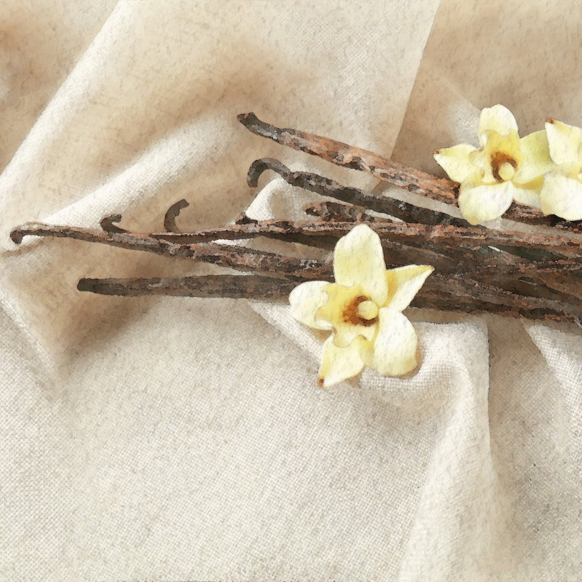 Vanilla Dream Scents - Image 2