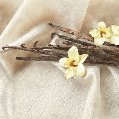 Vanilla Dream Scents - Image 2