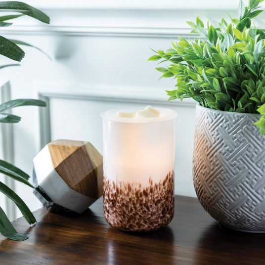 Tiger Shell Glass Illumination Warmer - Image 2