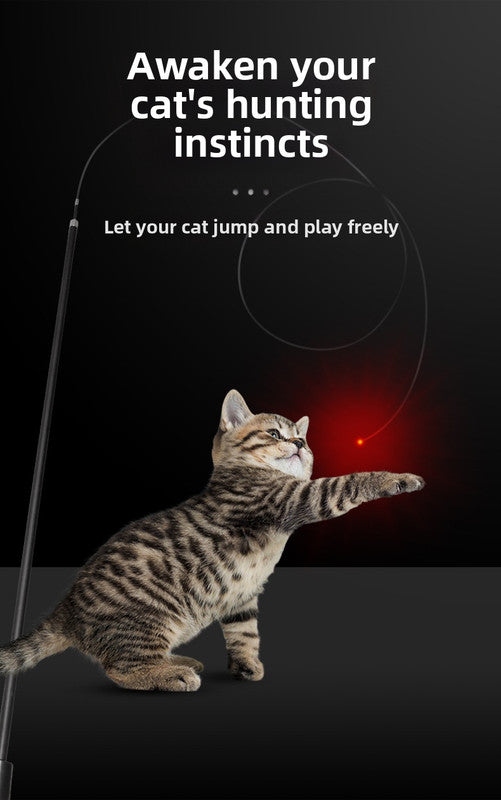 pet products Interactive LED telescopic pole cat teaser stick - Image 3
