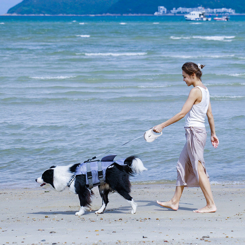 pet products Pet Strong Spring Telescopic Traction Device - Image 7