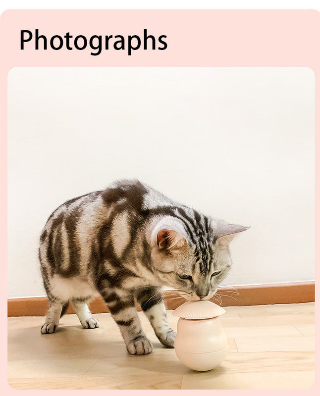 Pet products Pet Toy Cat Laser Toy Tumbler Intelligent Induction Cat Laser Rod - Image 9