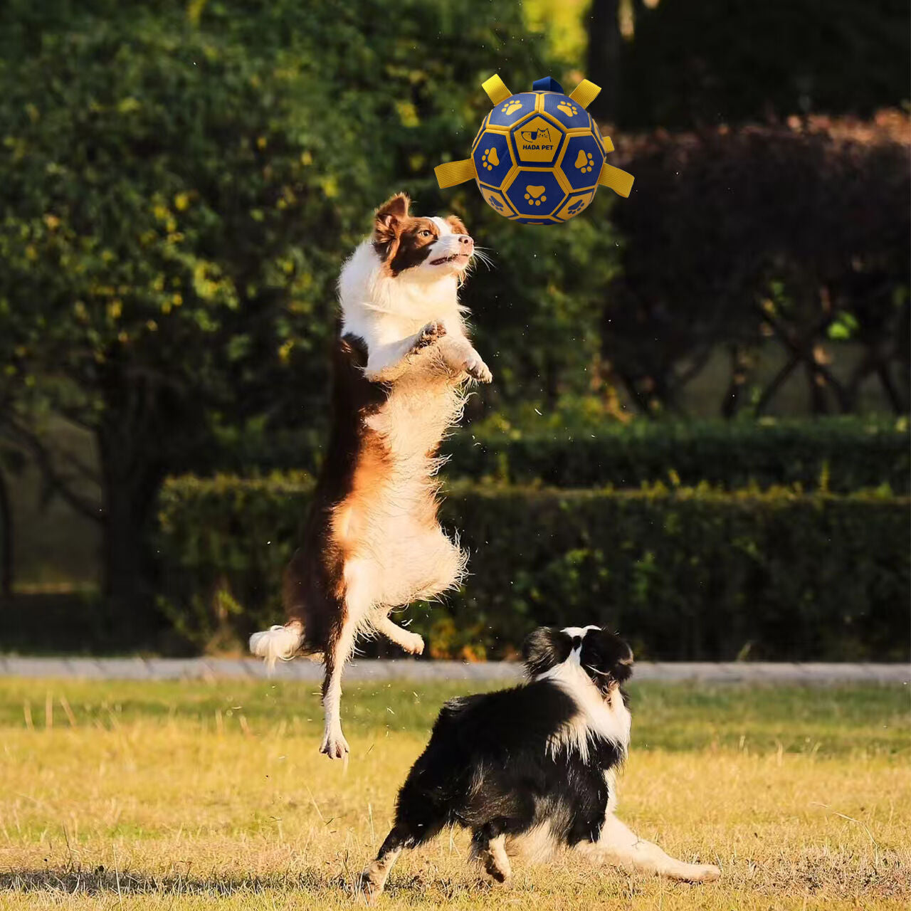 pet products Dog toy with rope Little Yellow Duck plush interactive tennis, suitable for tug-of-war, birthday gift for small dogs, draggable and durable water ball, special for small and medium-sized dogs, made of high quality PU material, which can be ki - Image 6