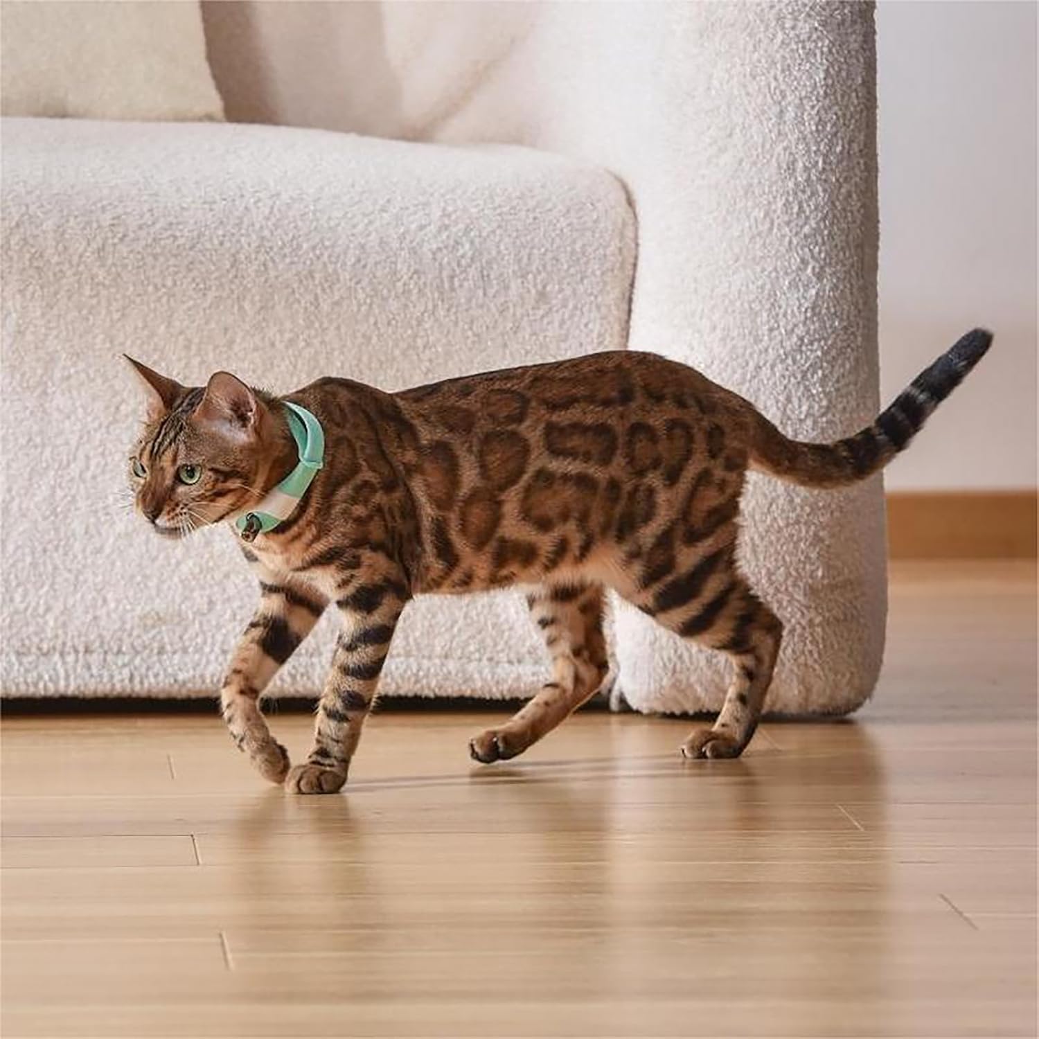 Automatic Laser Cat Collar Toy: Rechargeable Interactive Red Light Toy for Australian Indoor Cats & Kittens - Image 8