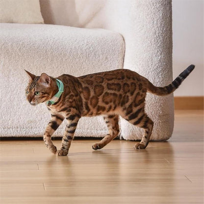 Automatic Laser Cat Collar Toy: Rechargeable Interactive Red Light Toy for Australian Indoor Cats & Kittens - Image 8