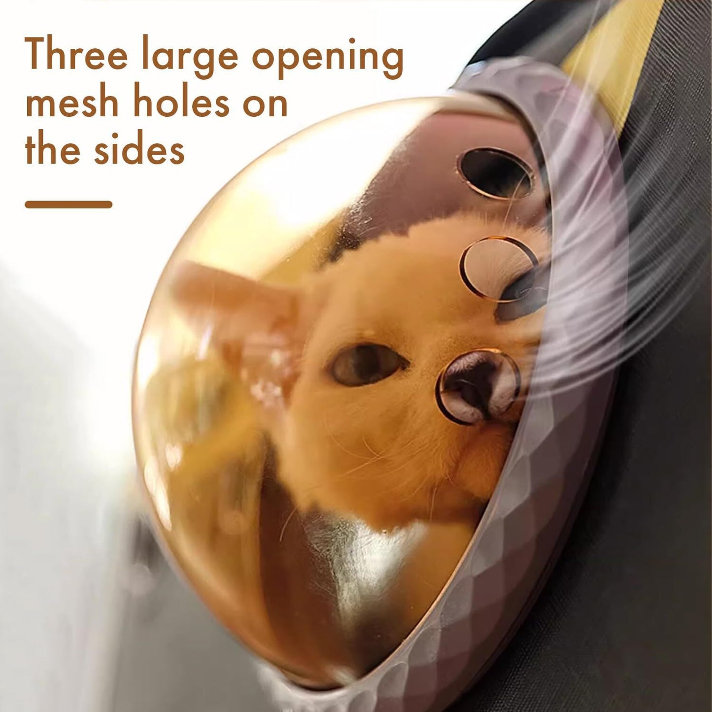 pet products Printed Space Capsule Cat Bag, Large Capacity Crossbody Dog Bag, Universal Pet Bag for All Seasons - Image 3
