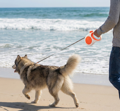 Retractable Dog Leash – 16.5 ft Automatic Walking Lead with One-Hand Brake Lock & Anti-Tangle Nylon Tape – Heavy-Duty 55 lb Capacity – Ideal for Small to Medium Dogs (White & Orange) - Image 4