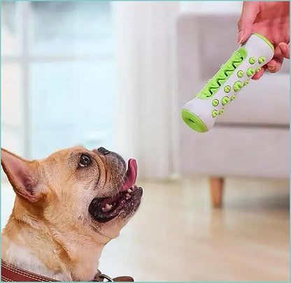 Dog Chew Toy: Durable Nylon & TPR, Teeth Cleaning Bone for Aussie Dogs - Image 3