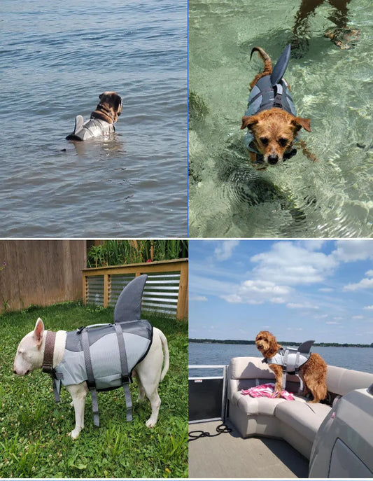 Pet products Dog Life Jacket, Cute Shark Dog Life Vest for Swimming Boating with Superior Buoyancy and Rescue Handle, Adjustable Puppy Floating Swim Vest for Small Medium Large Dogs(M) - Image 3