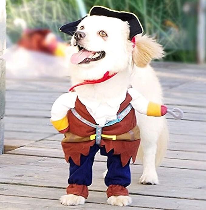 pet products New Funny Pet Clothes Pirate Dog Cat Costume Suit Corsair Dressing up Party Apparel Clothing for Cat Dog Plus Hat - Image 4