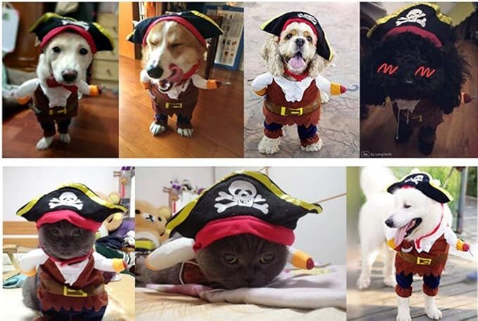 pet products New Funny Pet Clothes Pirate Dog Cat Costume Suit Corsair Dressing up Party Apparel Clothing for Cat Dog Plus Hat - Image 5