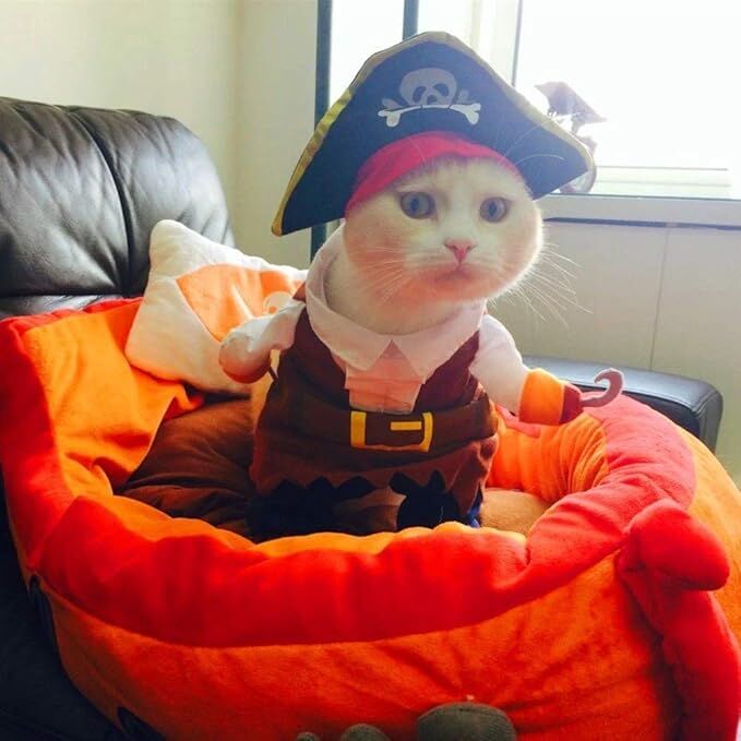 pet products New Funny Pet Clothes Pirate Dog Cat Costume Suit Corsair Dressing up Party Apparel Clothing for Cat Dog Plus Hat - Image 3